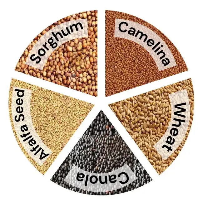Small seeds VISION conditions: camelina, alfalfa, canola, sorghum, wheat